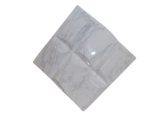 پانل دیواری سه بعدی پی وی سی مدل های غنی از هنر مدرن نسوز برای دکوراسیون داخلی