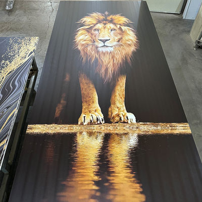 4 * 8 فوت UV PVC ورق مرمر ضد آب چاپ گرم / 3D چاپی پانل های داخلی تابلو های UV