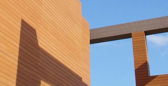 Co Extrusion Exterior Wpc Panel Wall Cladding ضد آب برای دکوراسیون باغ