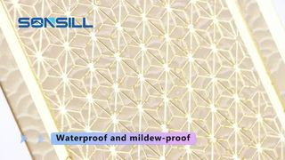 پانل دیواری PS 2